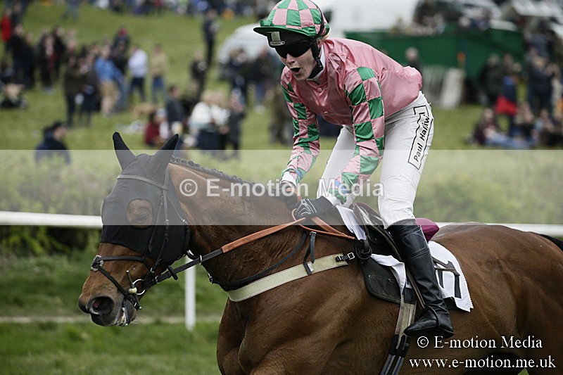 PtP 170417 574 - Old Berks Point-to-Point Lockinge 17/04/17
