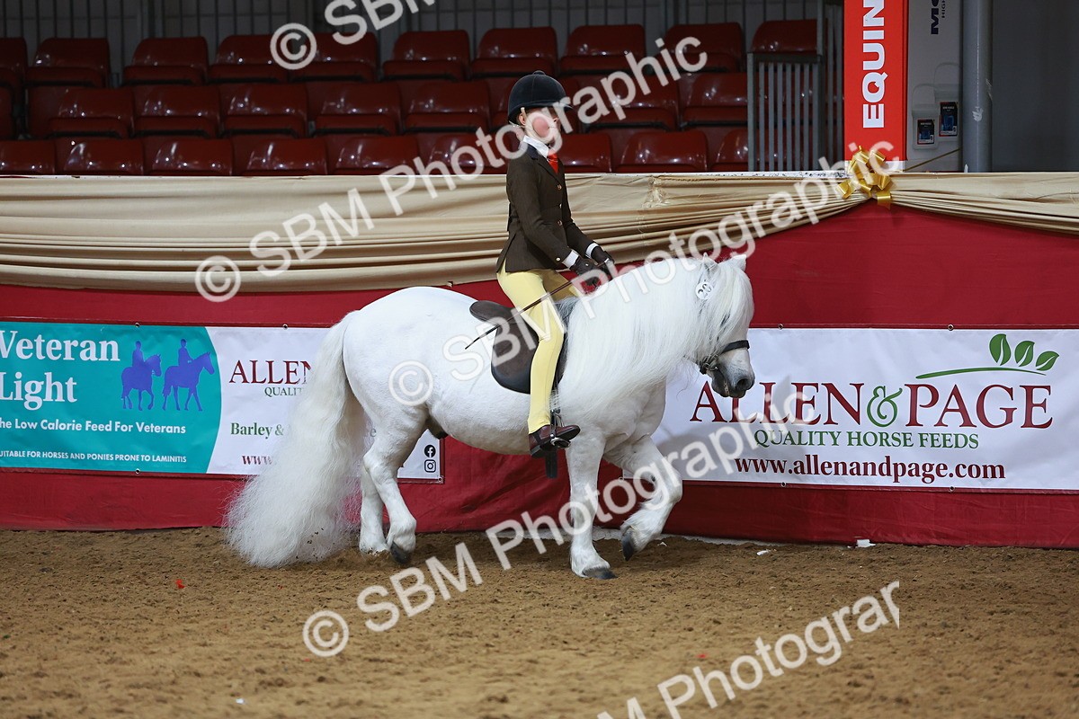 SBM_09379 - Class 102 - HOYS Veteran Qualifier - Ridden Veteran