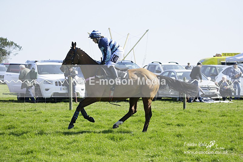 PtP 190322 176 - Wilton Hunt PtP Milborne St Andrew 19/03/22