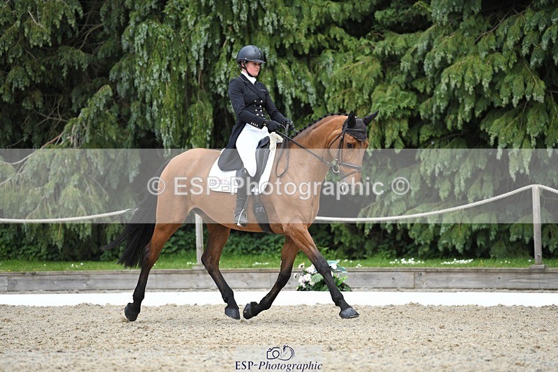 230525-153048-03264 - 327-ROMANTIC-Rosie_Fry-WEDTrotUp+DR