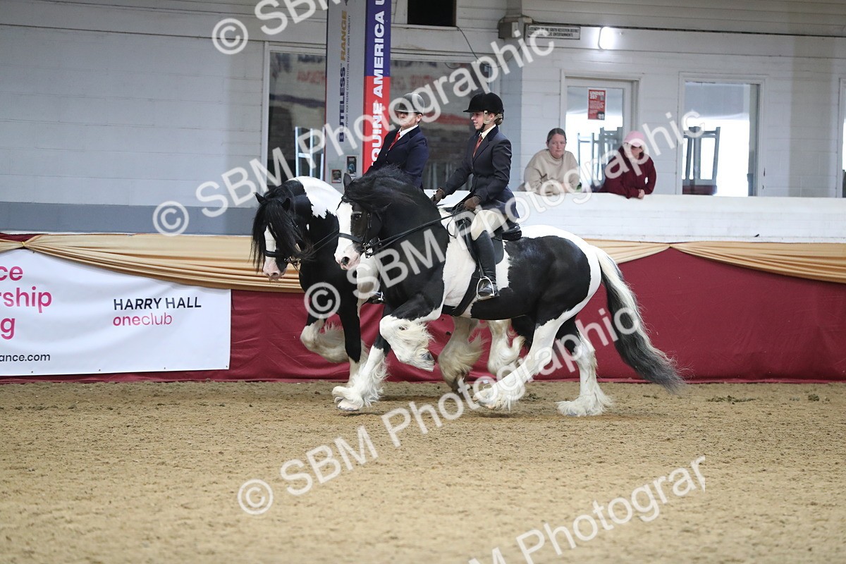 SBM_13672 - Class 109 Ridden Pairs - Section B