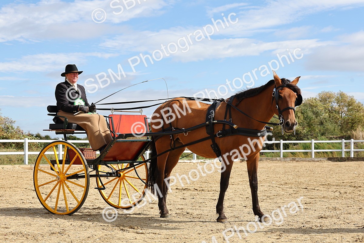 SBM_000953 - Class 8 - Novice Horse or Pony to any vehicle