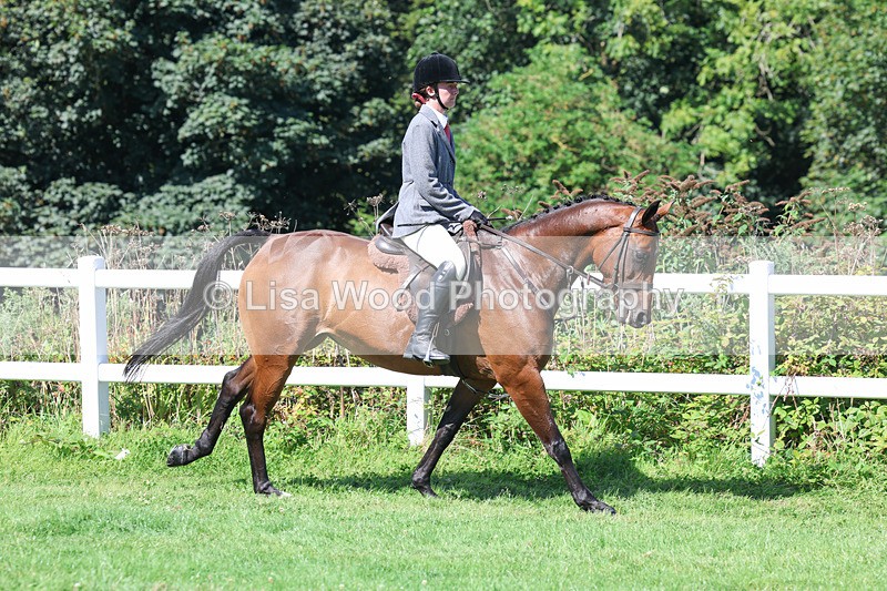 3E7A8356 - Class 4: Novice working Hunter