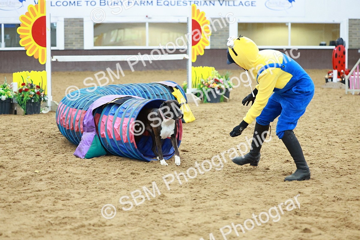 SBM_002243 - Class 3 - Horse & Hound (60cm)