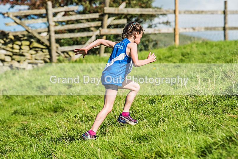Loweswater Show-95 - Loweswater Show Junior & Senior Fell Races Sunday 3rd September 2023