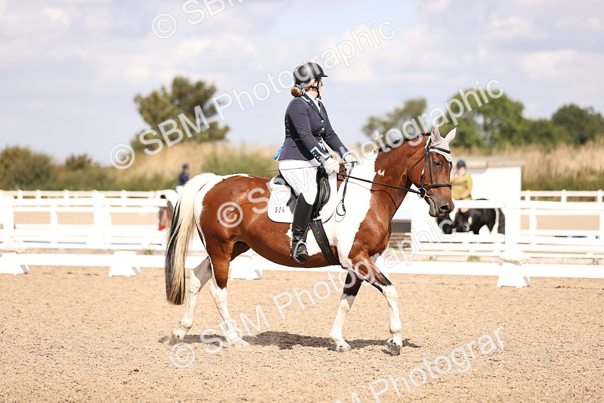 SBM_03714 - CLass 35 Intro 3