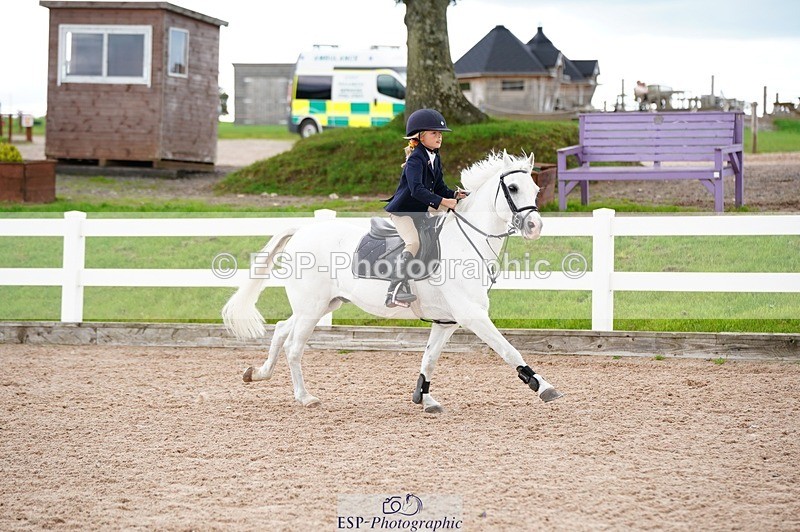 250921-154050-04157 - Cls 31 Stepping Stones