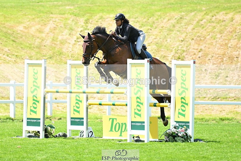 250614A-131838-06840 - Cls 20 Foxhunter