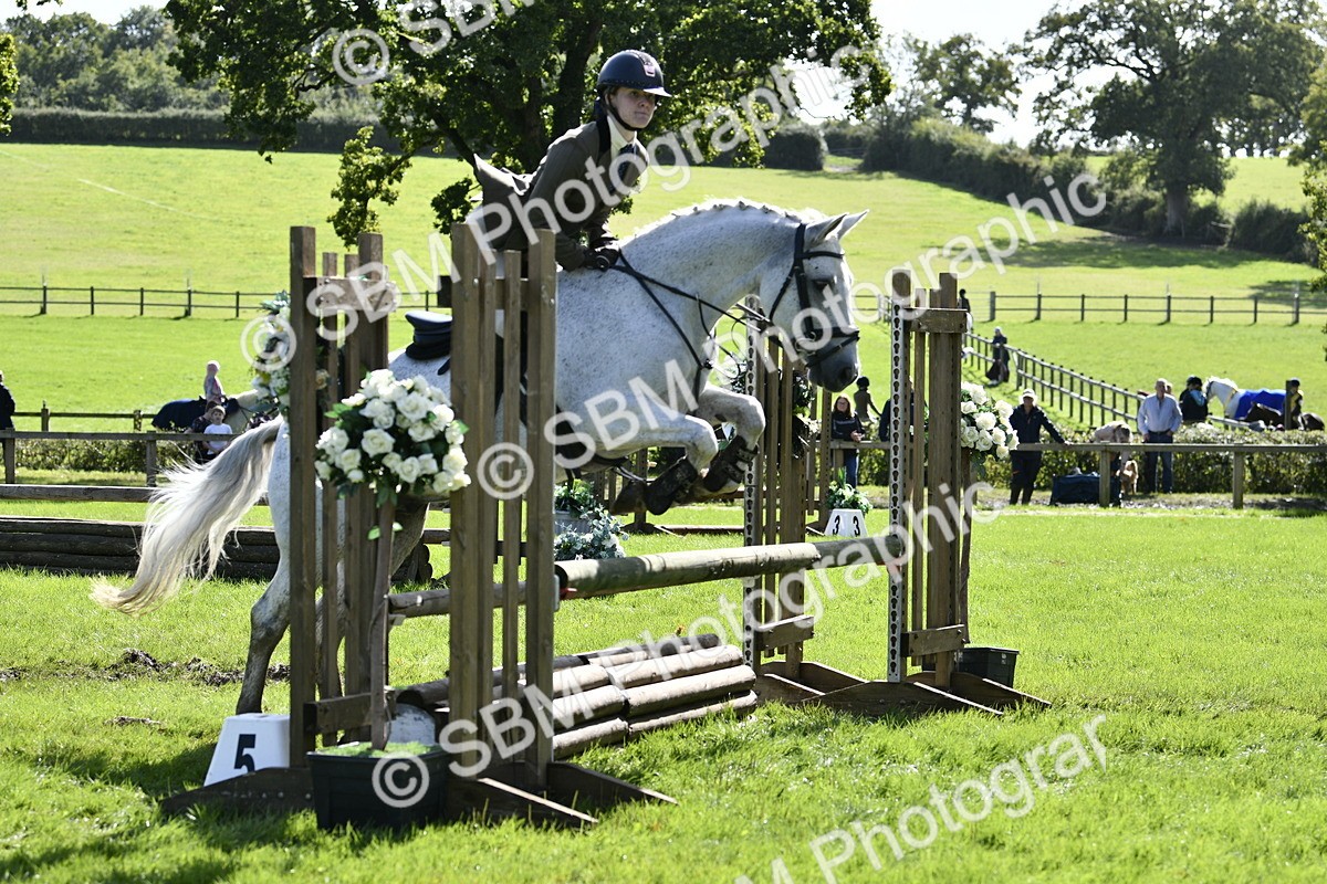 SBM_45737 - S33 - Working Hunter Pony