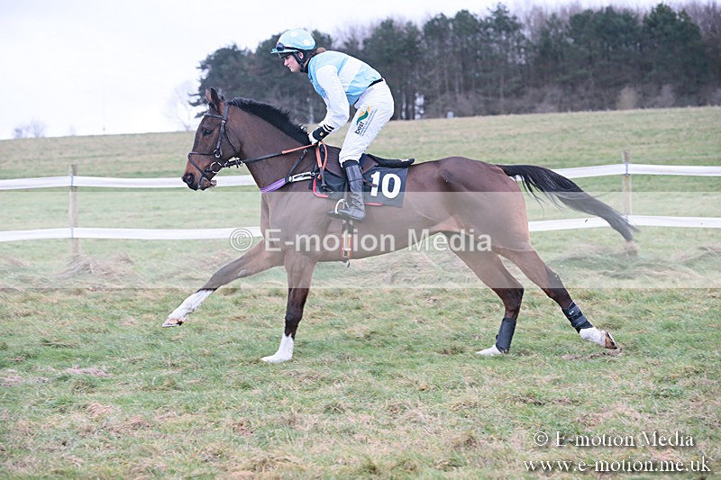 PtP 230119 313 - Royal Artillery Point-to-Point  - Larkhill  - 26/01/19