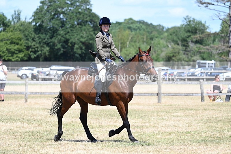 WJ7_3051 - Class 7 Riding Club Show Horse