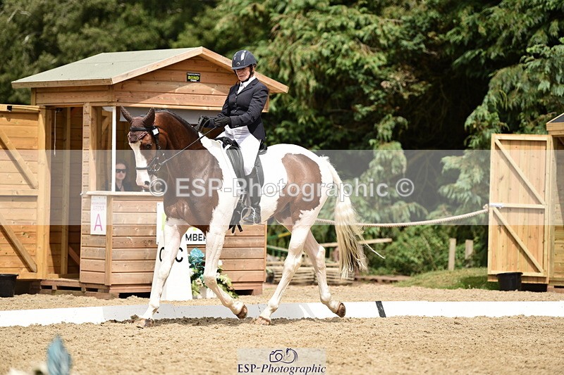 140110A-031046-11191 - 070-Deborah.Randall-Kindred.Spirit