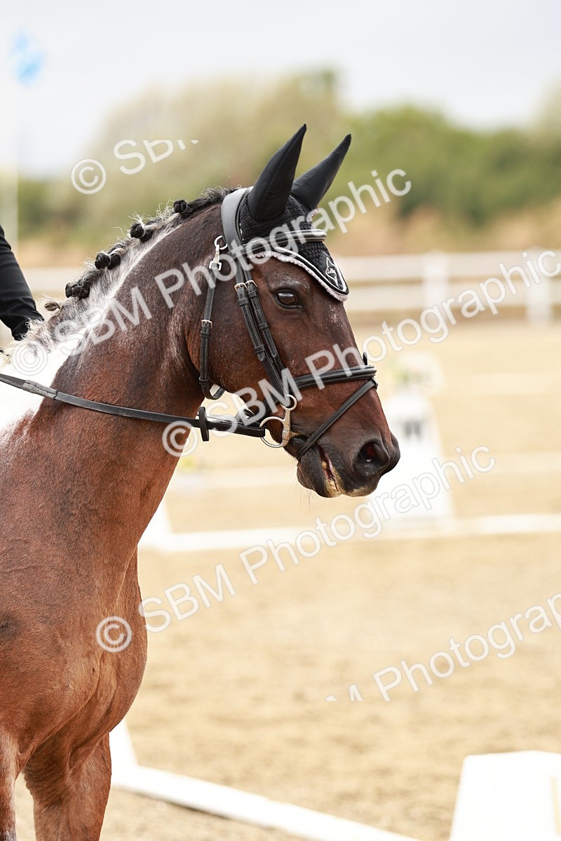 SBM_002909