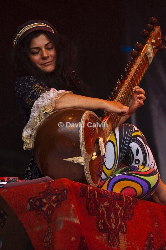 Transglobal Underground 1 - Live Artists
