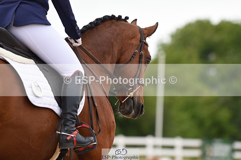 230630A-110052-00935 - Cls 4 Novice 23 Start to 11.30 break