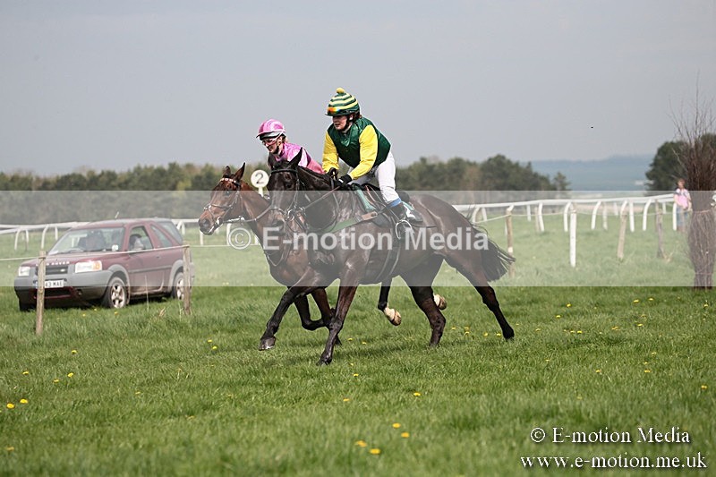 PtP 210418 29 - South & West Wilts Point-to-Point Larkhill 21/04/18
