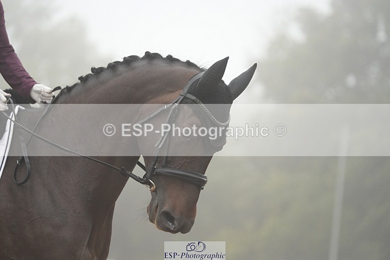 250907-144552-07842 - 149-Lauren.ShadboltCountess.V