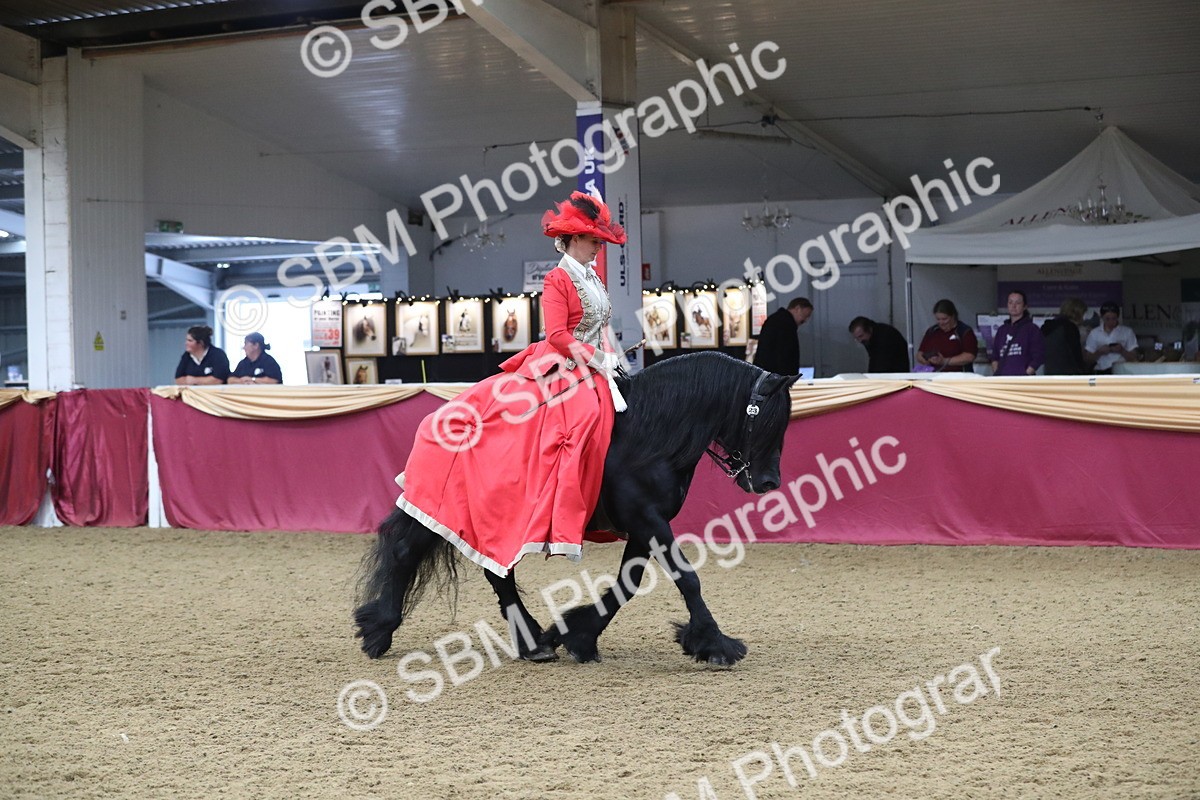 SBM_12108 - Class 107 Ridden Costume- Astride Adult (20+)