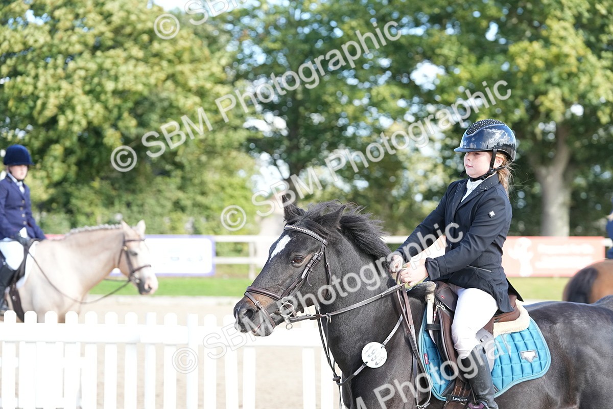 SBM_48436 - J7 - Junior Pony 60cm Championship