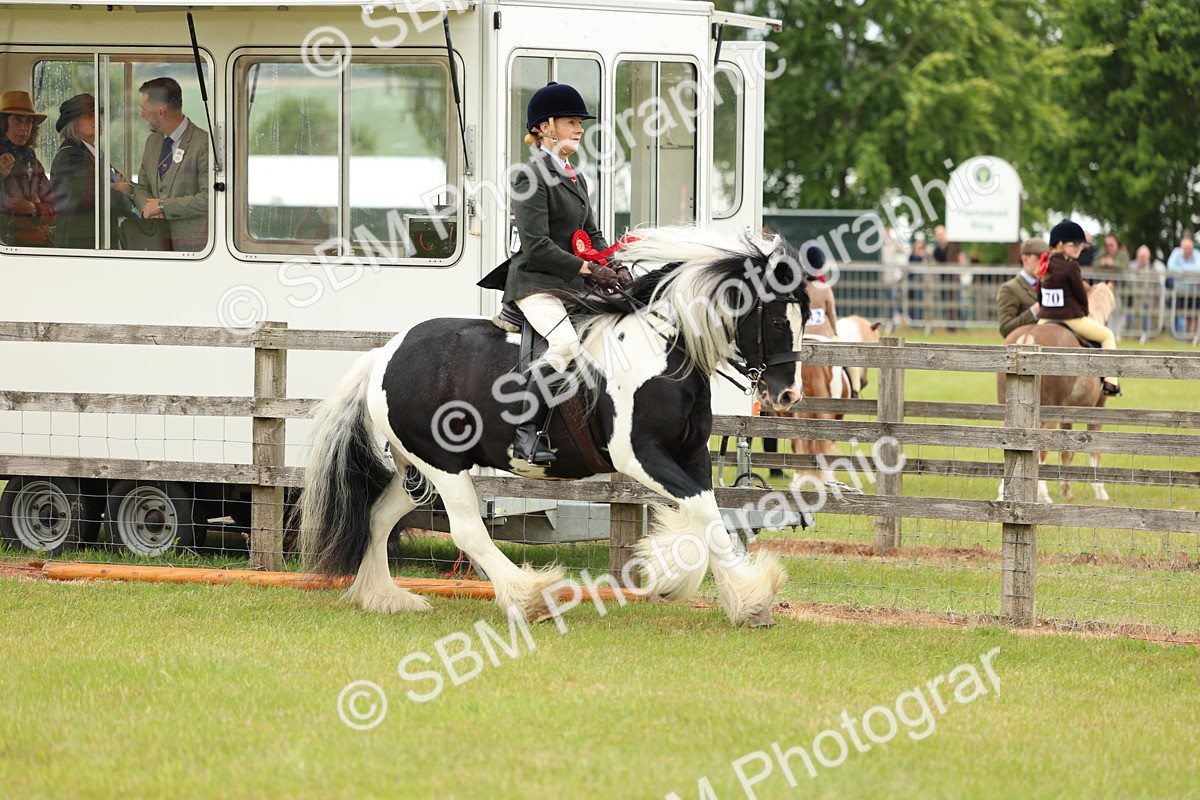 SBM_06262 - Class 39-41 TGCA In Hand and Ridden