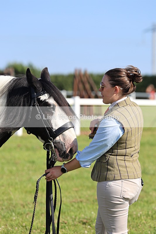IMG_1575 - Class 30: Ridden Native/Trad Coloured Pony