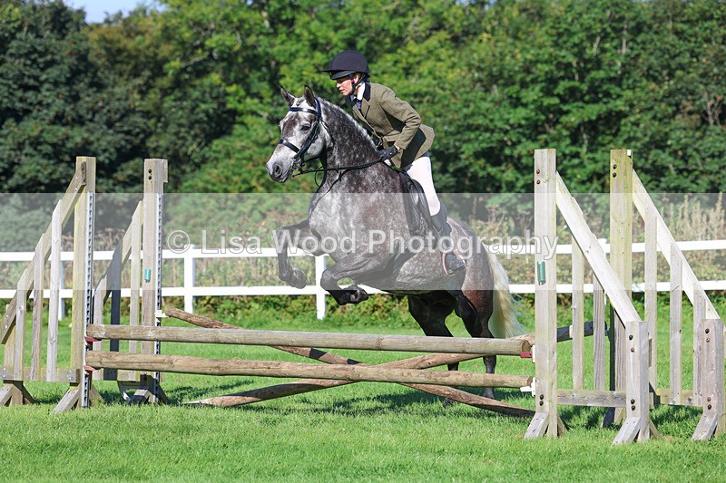 3E7A7761 - Class 2: Open Working Hunter pony