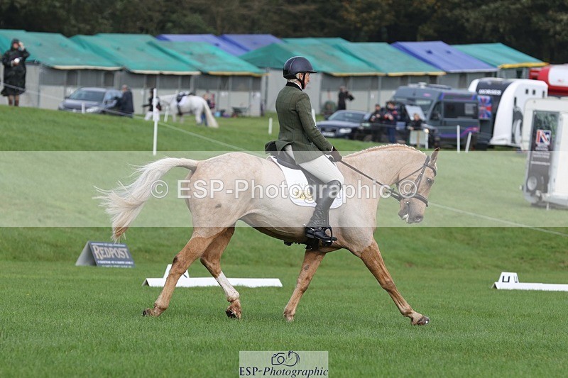 231019-110911-02567 - 612-CORRIEVIEW.MERLIN.MAGIC-Jane.Rogers-DR