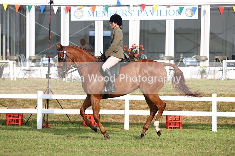 3E7A7724 - Class 1: Rising Star Small Hack/Riding Horses