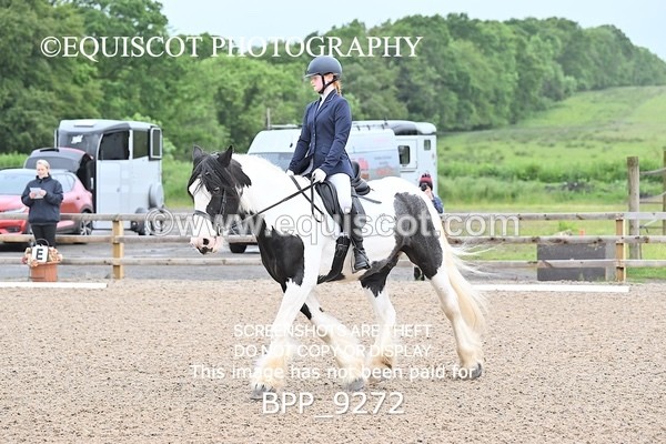 BPP_9272 - 31 E WYLLIE