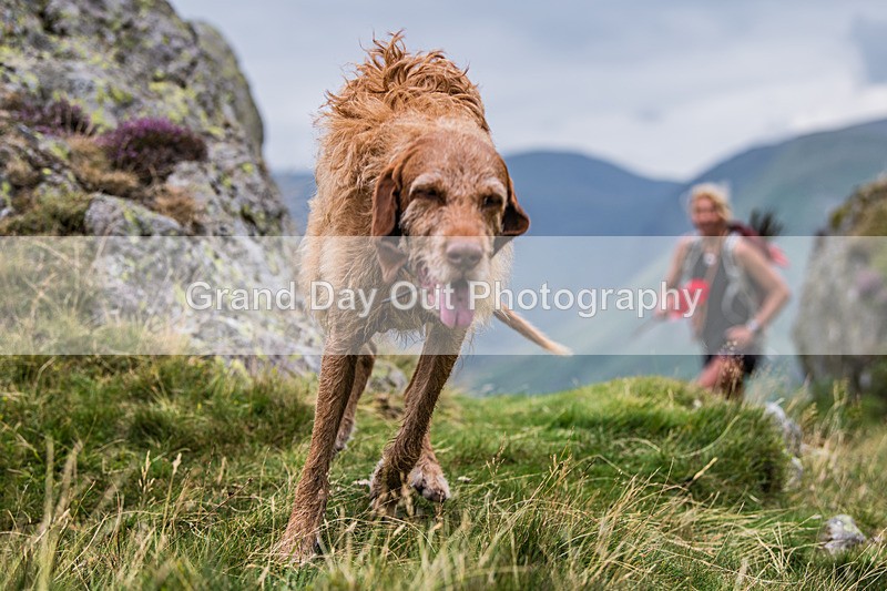 Arnison Horseshoe-366 - Arnison Crag Horseshoe Fell Race Saturday 23rd August 2025