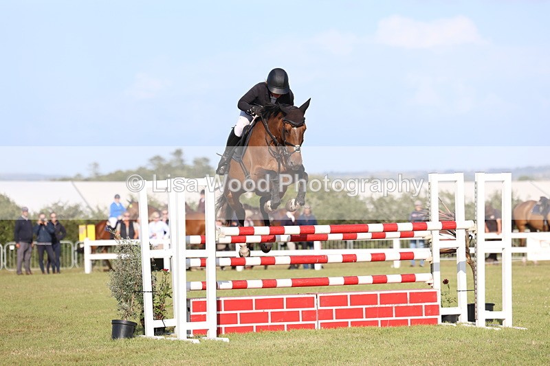 3E7A4515 - Class C: Showjumping Senior Foxhunter