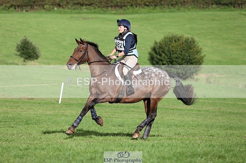 231021-150252-20059 - 482-ODDSPOT.VITAL.ELEMENT-Danielle.Davies-SC+XC