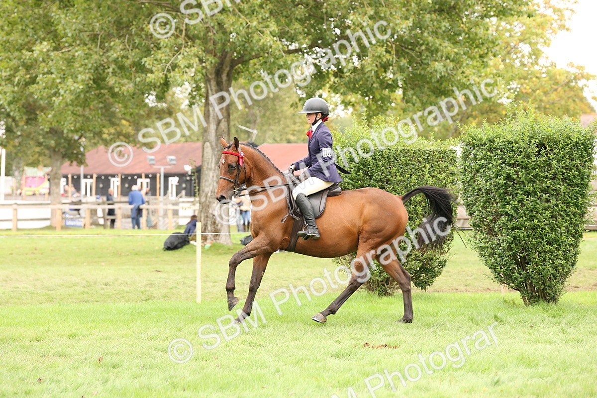 SBM_64247 - S65 - Riding Horse & Hack & Thoroughbred Ridden