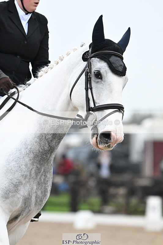 241103-143027-02485 - Prelim 2 - 13.23 to 14.33