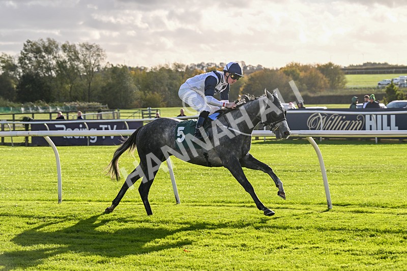 281025-Race 2-Grey Horizon-0902 - Race 2