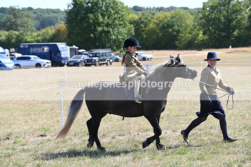 WJ6_7790 - Class 36 Lead Rein