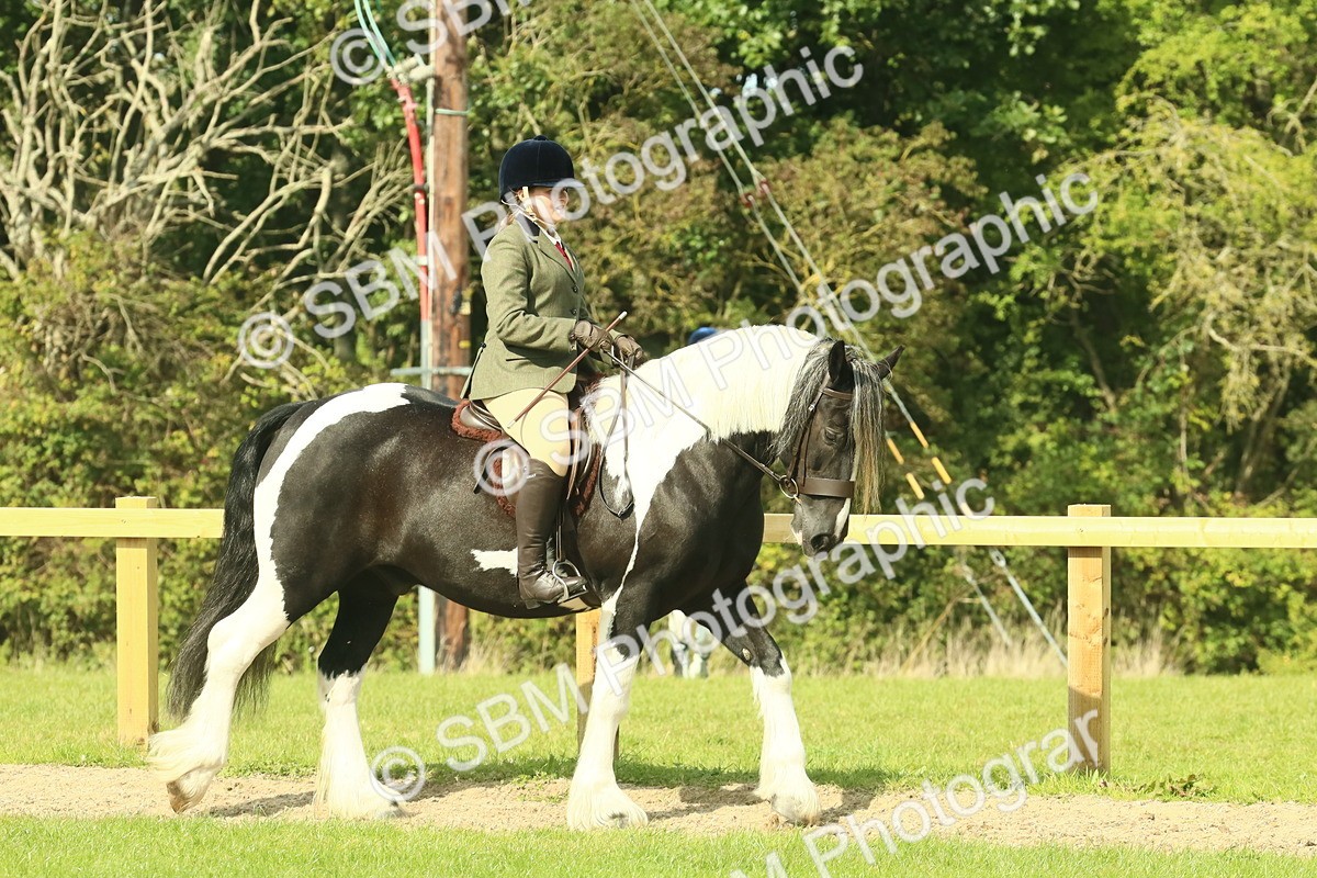 SBM_67389 - S56 - Coloured Pony Ridden