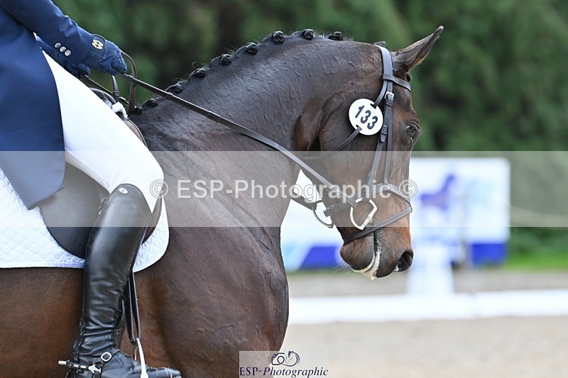 231019-151540-04741 - 133-FOXENHOLE-Laura.Elliott-DR