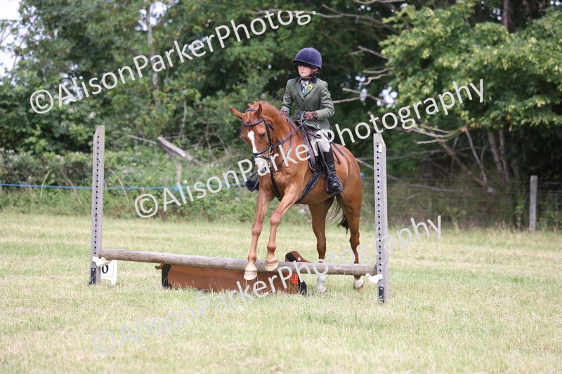 20260614-1855 - Class 21 - Novice Working Hunter Pony