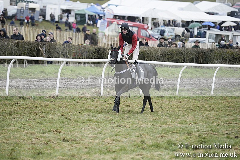 PtP 020418 -422 - Old Berks Point-to-Point Races Easter Monday 02/04/18