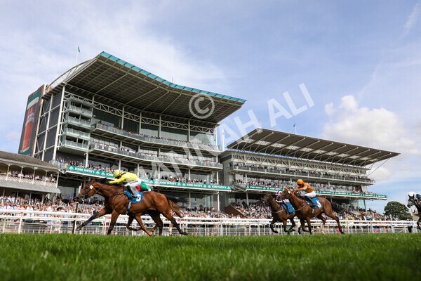 yr08072022r5-23 - Race 5 4.25pm Azets Stakes