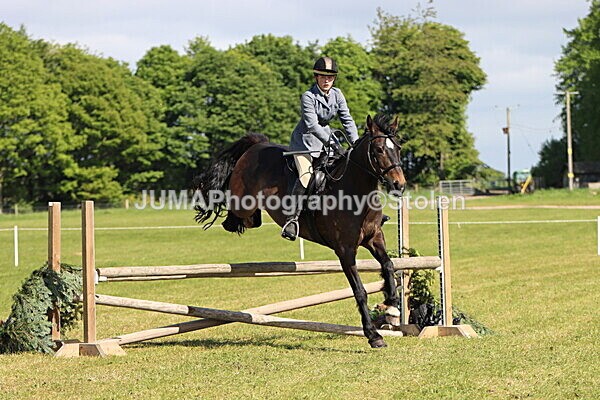 IMG_4759 - Working Hunter