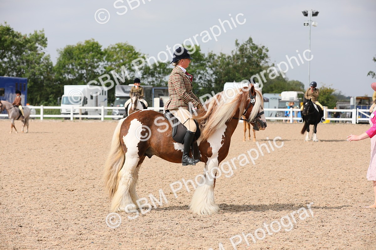 SBM_12769 - Class 307 Ridden Coloured Pony