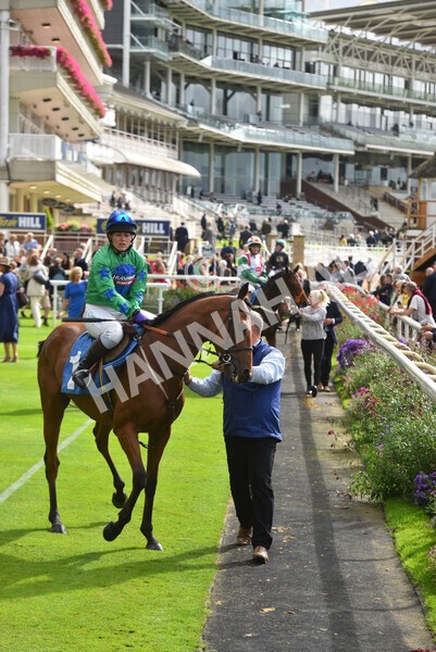 yr24092021r1-81 - Race 1 1.10pm Ernest Cooper Macmillan Ride of Their Lives