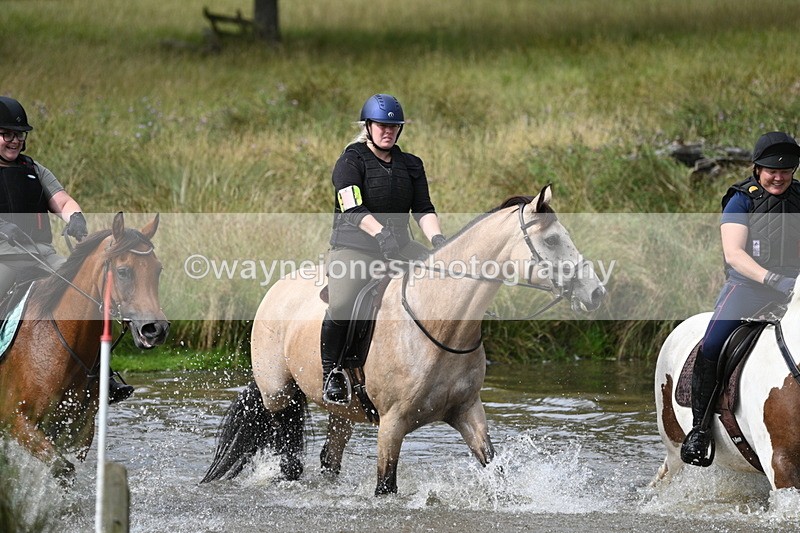 WJ7_1599 - Time at Water 10:48 to 11:13
