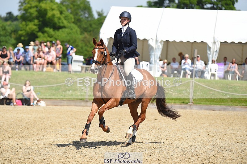 230528-113222-15254 - 323-CHESTNUT_BOBBY-Molly_Fletcher-SUNTrotUp+SJ