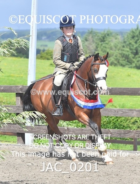 JAC_0201 - CHAMPIONSHIPS AND SUPREME