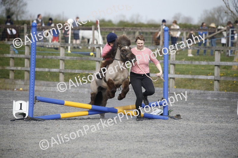 20250412-0110 - Show Jumping