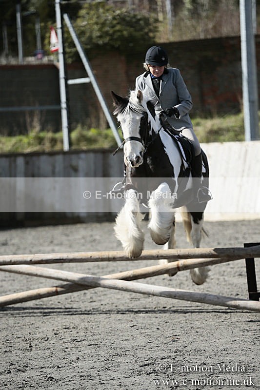 BVRC SJ 170319 79 - Bourne Valley Riding Club Showjumping 17/03/19