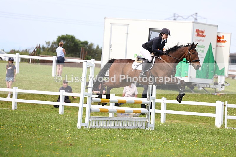 3E7A1608 - Class 13: Senior British Novice/90cm open